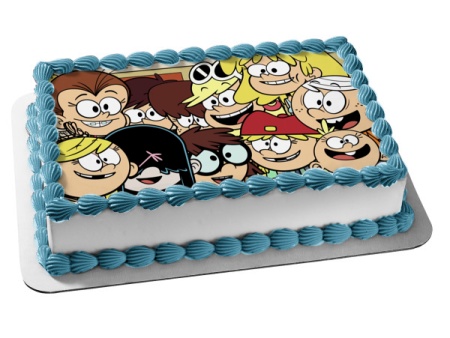 The Loud House Lori Leni Luan Lola Lucy Luna Lisa Lincoln Lily Lana Lynn Edible Cake Topper Image ABPID52088 Supply